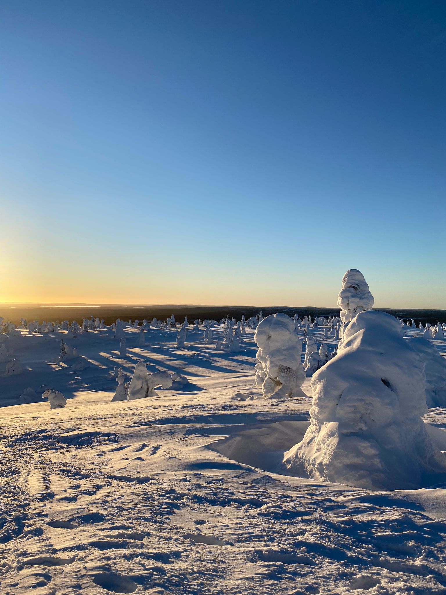 Joulun ja uuden vuoden aukioloajat 